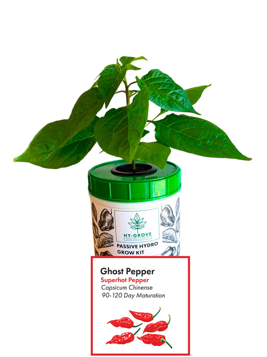 Ghost Pepper Grow Kit - Passive Hydroponic Grow Kit from Hy-Grove
